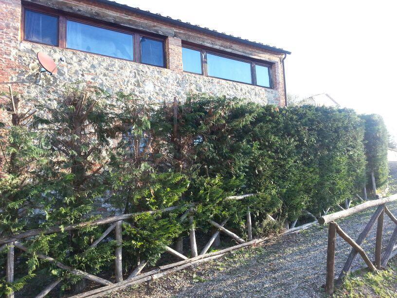Residenza Il Platano Fortilizio Di Campiglia Раполано-Терме Екстер'єр фото